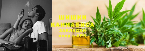 МДПВ Новозыбков