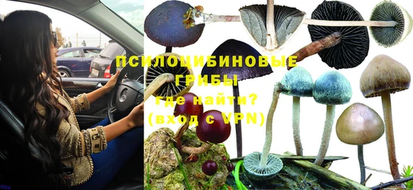 гашик Новокубанск