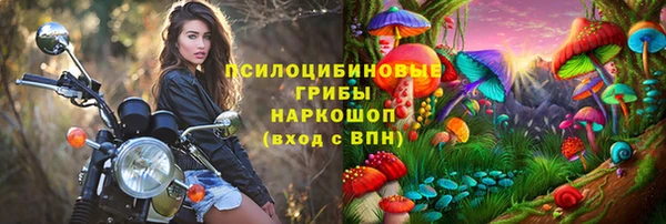 гашик Новокубанск