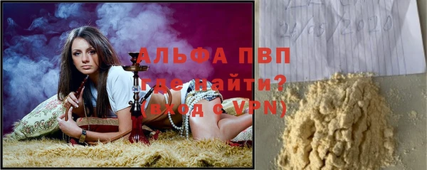 гашик Новокубанск