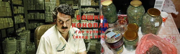 гашик Новокубанск