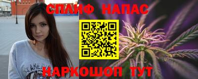 стаф Дубна