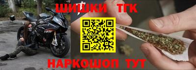 стаф Дубна