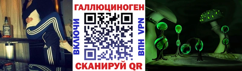 площадка состав  Партизанск  Псилоцибиновые грибы Psilocybine cubensis 